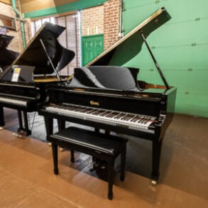 Image for Essex EGP 155 Grand-Designed By Steinway