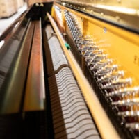 Pearl River EU-110 Upright