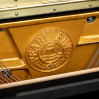 Pearl River EU-110 Upright