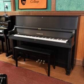Image for Yamaha P22