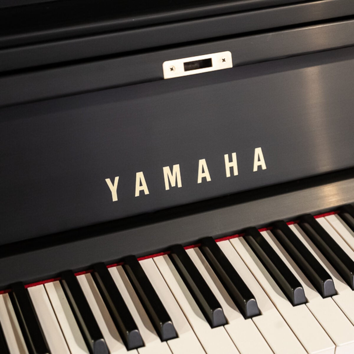 Yamaha P22
