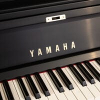 Yamaha P22
