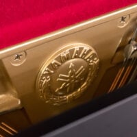 Yamaha P22