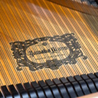 Yamaha C7 Semi-Concert Grand