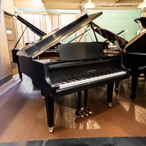 Image forYamaha GH1 Grand