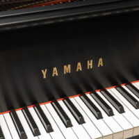 Yamaha GH1