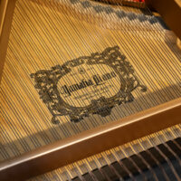 Yamaha GH1