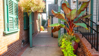 Charming entrance path to Classic Pianos, enhancing the customer experience at Portland's premier piano dealership.